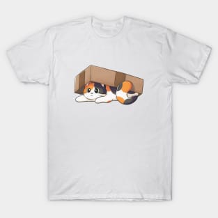 Cute Calico Cat Under Cardboard Box T-Shirt